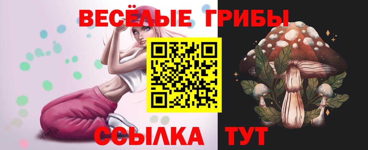 Ефремов  Псилоцибиновые грибы Psilocybine cubensis  Псилоцибиновые грибы MAGIC MUSHROOMS  Вход с VPN 