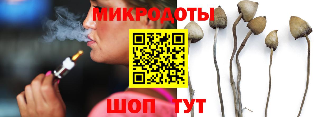 Псилоцибиновые грибы Psilocybine cubensis Ефремов