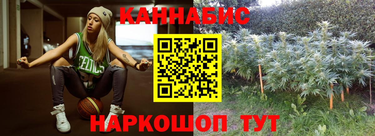 Шишки марихуана тримм  Бошки Шишки AK-47  Ефремов  МАРИХУАНА гибрид  Вход с VPN  Бошки Шишки VHQ 